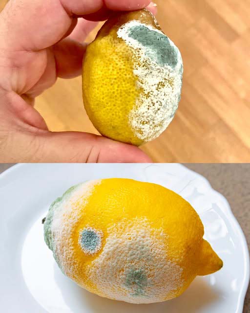 Citron